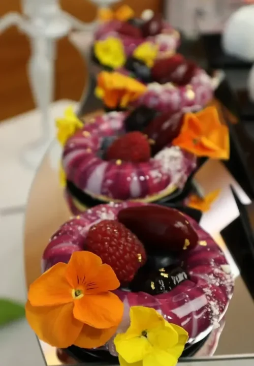 503320537_18383066260143084_6461705082370063037_n_ergebnis